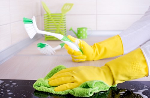 Deep carpet cleaning service for local households and rentals