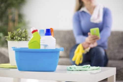 Deep carpet cleaning process for a fresh interior in Wandsworth