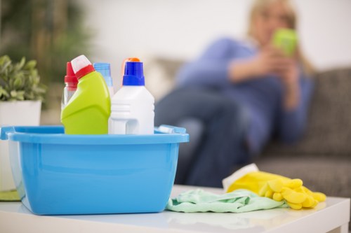 Professional carpet cleaner working with care in a home setting