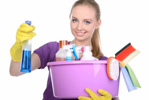 Cleaner restoring a carpet in a Wandsworth property